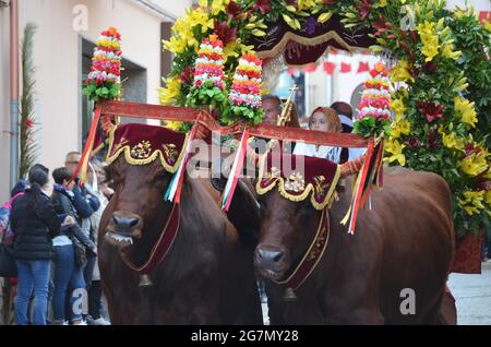 Processione religiosa di Sant'Antioco, Sardegna Foto Stock