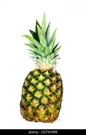 Ananas -(ananas comosus) su sfondo bianco Foto Stock