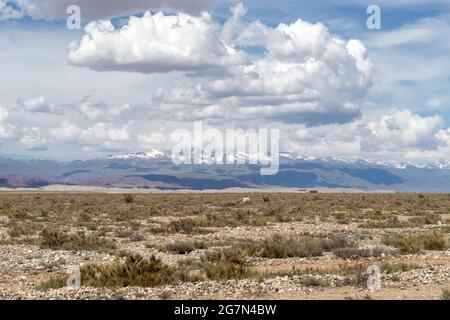 Vista panoramica dal lago Issyk Kul, Kirghizistan, Foto Stock