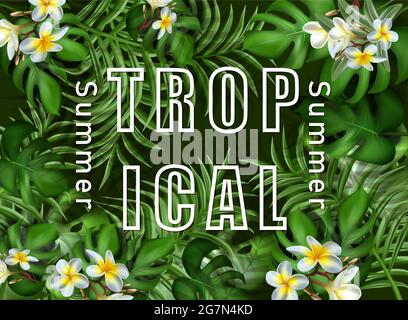 grande estate vendita modello banner con cornice foglie tropicali. Illustrazione Vettoriale