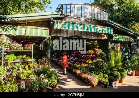 FRANCIA, PARIGI, 75004, IL MERCATO DEI FIORI DI ELIZABETH-II Foto Stock