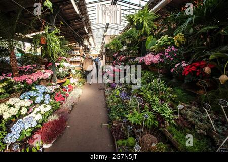 FRANCIA, PARIGI, 75004, IL MERCATO DEI FIORI DI ELIZABETH-II Foto Stock