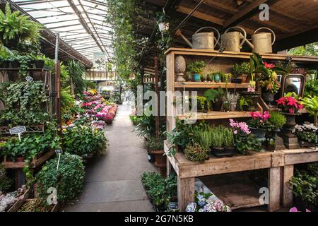 FRANCIA, PARIGI, 75004, IL MERCATO DEI FIORI DI ELIZABETH-II Foto Stock