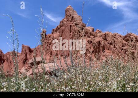 Skazka (fiaba) Canyon, vicino alla sezione meridionale del lago Issyk-Kul, Kirghizistan Foto Stock