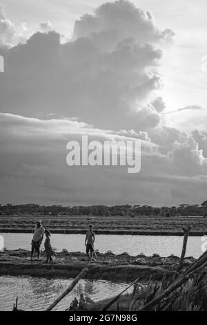 28-07-2021 a Khulna, Bangladesh. La gente sta lavorando sul loro campo agricolo Foto Stock