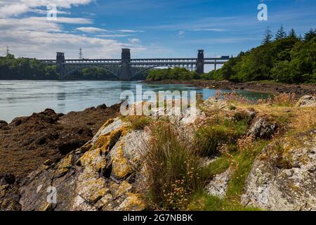 Il Ponte Britannia da una piccola isola nello stretto di Menai a bassa marea, Anglesey, Galles del Nord Foto Stock