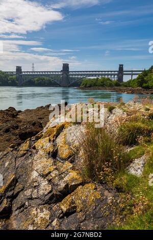 Il Ponte Britannia da una piccola isola nello stretto di Menai a bassa marea, Anglesey, Galles del Nord Foto Stock