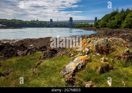 Il Ponte Britannia da una piccola isola nello stretto di Menai a bassa marea, Anglesey, Galles del Nord Foto Stock