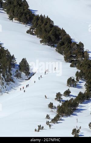 PYRENEES ORIENTALES (66) RANDO SKI DE FOND SUR LE FLANC DU PETIT PERIC Foto Stock