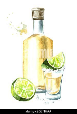 Bevanda alcolica Tequila, bottiglia gialla di cactus messicano booze, bicchiere pieno con fetta di lime e sale. Illustrazione verticale dell'acquerello disegnata a mano Foto Stock