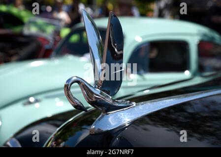 Un ornamento decorativo del cofano cromato in cigno sul cofano di su un'automobile Packard d'epoca anni '30 in esposizione ad una mostra di auto a Santa Fe, New Mexico. Foto Stock