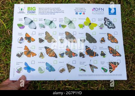 Tabella Big Butterfly Count per l'identificazione delle farfalle da giardino, luglio 2021, gestita da Butterfly Conservation, UK Foto Stock