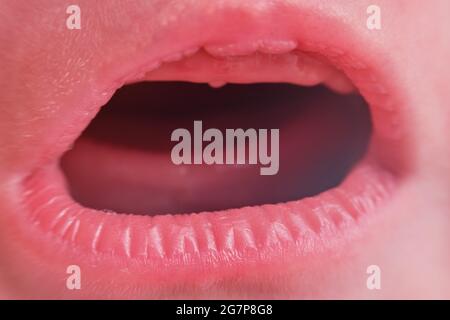 La bocca urlante di un neonato, primo piano. Macro foto di una bocca aperta piangente di un bambino con gengive senza denti Foto Stock