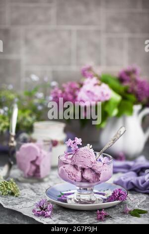 Tazza di delizioso mirtillo ricecream e lilla fatti in casa sullo sfondo Foto Stock