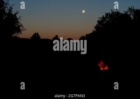 Subito dopo il tramonto, un alto falò si sfoggia nel buio sotto una luna piena, alberi in silhouette. Foto Stock