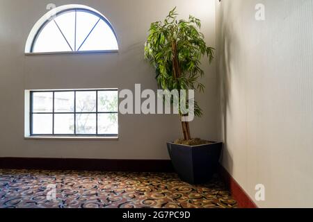 Piante in vaso e grandi finestre in un'area della lobby dell'hotel, senza persone Foto Stock