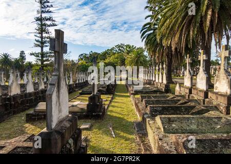 File di croci. Tombe con lapidi nel Rookwood Cemetery, Sydney, Australia, al sole del pomeriggio Foto Stock