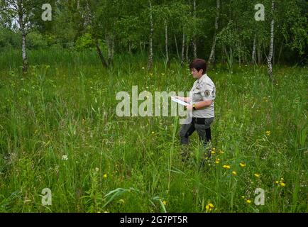 14 luglio 2021, Brandeburgo, Zehdenick: Katrin Lange, ranger del Brandeburgo Uckermärkische guardie della natura visto, conta orchidee della specie Sumpf-Stendelwurz (Epipelactis palustris), chiamato anche Sumpf-sitter, in un prato nel nord del Brandeburgo. Un buon occhio è importante. Ogni panicolo del fiore deve essere visto. Secondo l'orologio naturale del Brandeburgo, circa 51,000 orchidee fiorite sono state registrate su aree di conteggio definite. Nell'anno precedente ci sono stati poco meno di 30 000, nel 2016 solo poco meno di 14 000. 66 aree individuali in dieci grandi aree protette dello stato sono state esaminate secondo la t Foto Stock