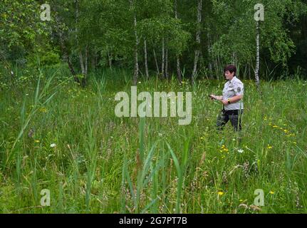 14 luglio 2021, Brandeburgo, Zehdenick: Katrin Lange, ranger del Brandeburgo Uckermärkische guardie della natura visto, conta orchidee della specie Sumpf-Stendelwurz (Epipelactis palustris), chiamato anche Sumpf-sitter, in un prato nel nord del Brandeburgo. Un buon occhio è importante. Ogni panicolo del fiore deve essere visto. Secondo l'orologio naturale del Brandeburgo, circa 51,000 orchidee fiorite sono state registrate su aree di conteggio definite. Nell'anno precedente, ci sono stati poco meno di 30 000, nel 2016 solo poco meno di 14 000. 66 aree individuali in dieci grandi aree protette dello stato sono state esaminate secondo Foto Stock