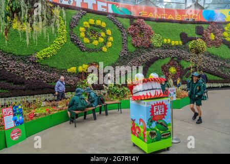 Un'esposizione di piante carnivore e una parete verde all'interno del 'Calyx', un luogo per eventi nel Royal Botanic Garden, Sydney, Australia Foto Stock