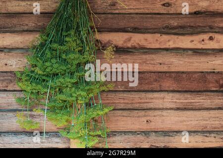 Rami verdi di aneto con peduncoli sono appesi ad asciugare su un muro di legno Foto Stock