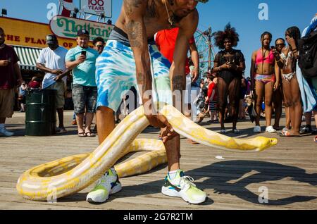 New York, Stati Uniti. 06 giugno 2021. Gli spettatori guardano un uomo che tiene un grande serpente giallo da una distanza sicura in questa giornata di sole sulla spiaggia di Coney Island a Brooklyn. New York è sulla buona strada per il suo forzato timeout Corona con un 2021 storico. La 'Freedom Summer' è stata a lungo paragonata alla Love Summer 1967. (A dpa: 'L'estate d'oro di New York - e l'ombra crescente') Credit: Mathias Wasik//dpa/Alamy Live News Foto Stock