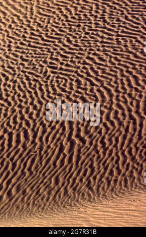 Onde in una duna modellata dal vento, deserto di Simpson, Australia centrale. Foto Stock