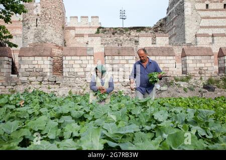 Fatih, Istanbul-Turchia - 05-20-2017:Vista delle storiche mura bizantine e dell'orto Foto Stock