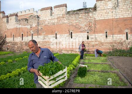 Fatih, Istanbul-Turchia - 05-20-2017:Vista delle storiche mura bizantine e dell'orto Foto Stock