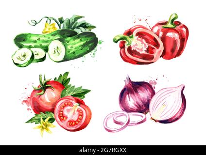 Verdure. Immagine disegnata a mano con acquerello, isolata su sfondo bianco Foto Stock