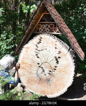 13 luglio 2021, Sassonia-Anhalt, Holzdorf-Jessen: Una donna scatta una foto di una grande fetta di albero nel 'Giardino della Foresta aperta' di circa 5,000 metri quadrati di forestere e educatore della foresta Detlef Schulze, su cui si può leggere l'età dell'albero. È una delle molte figure grandi e piccole scolpite e disegnate, animali e spiegazioni nel giardino aperto, che non ha recinzione. Per 40 anni Detlef Schulze ha apprezzato la sua oasi di benessere, che può essere esplorata dai visitatori in qualsiasi momento. Foto: Waltraud Grubitzsch/dpa-Zentralbild/ZB Foto Stock