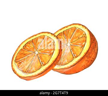 Fette arancioni acquerello isolate, facili da tagliare Foto Stock