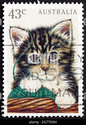AUSTRALIA - CIRCA 1991: Un francobollo stampato in Australia mostra Kitten, animale domestico, circa 1991 Foto Stock