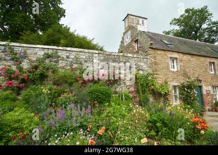 Splendido confine erbaceo vicino al Clock House Cottage a Mellerstain House vicino a Gordon, ai confini scozzesi Foto Stock