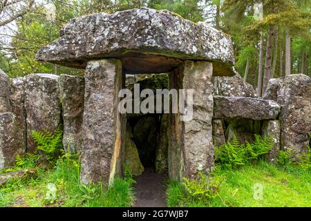 Il Tempio di Druid, una follia costruita alla fine del 1700 o all'inizio del 1800 da William Danby. Vicino a Masham, Yorkshire, Inghilterra, Regno Unito. Foto Stock