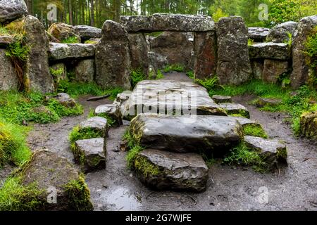 Il Tempio di Druid, una follia costruita alla fine del 1700 o all'inizio del 1800 da William Danby. Vicino a Masham, Yorkshire, Inghilterra, Regno Unito. Foto Stock