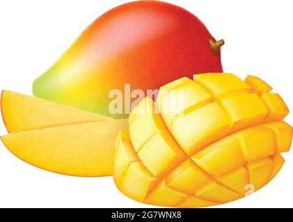 Mango fresco maturo: Intero, a metà e a fette isolate su sfondo bianco. Illustrazione vettoriale fotorealistica. Illustrazione Vettoriale