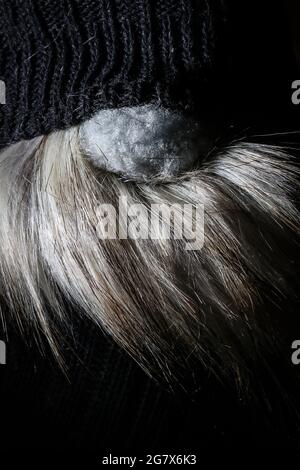 Primo piano su naso e barba di mano con calze gnomo di natale Foto Stock