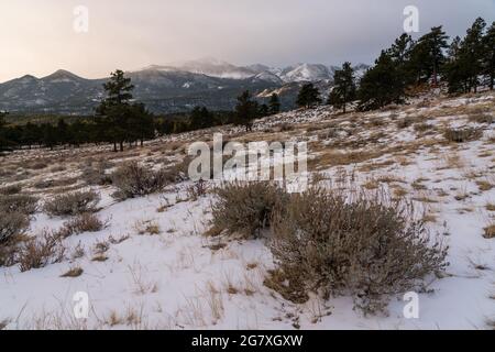 Una vista di Longs Peak da Upper Beaver Meadows, su Trail Ridge Road. Foto Stock