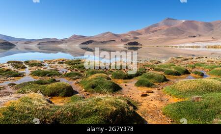 Lago Laguna Santa Rosa, Parque Nacional Nevado de Tres Cruces, deserto Atacama, Cile Foto Stock