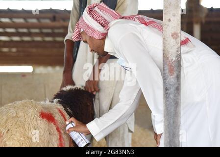 Riyadh, Arabia Saudita. 16 luglio 2021. Un uomo segna una pecora che è stata scelta dai clienti in un mercato nel sud-ovest Riyadh, Arabia Saudita, 16 luglio 2021. Credit: Wang Haizhou/Xinhua/Alamy Live News Foto Stock