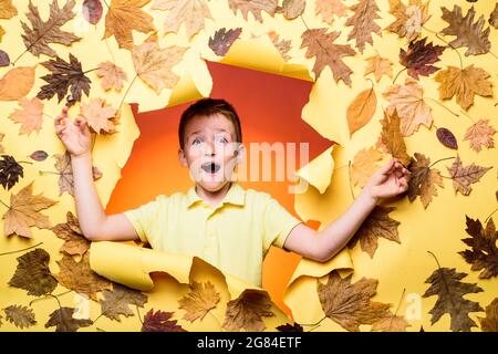 Felici i bambini in autunno. Buon ragazzo carino intelligente. Ritratto di un bel ragazzo Redhead felice primo piano. Periodo autunnale per la vendita della moda. Felici i bambini che giocano. Foto Stock