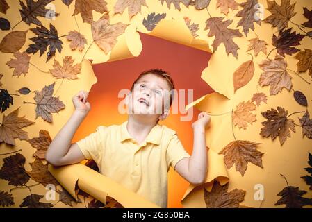 Redhead cute ragazzo stanno ottenendo pronto per la vendita di autunno. Concetto di stile di vita familiare. Ciao settembre. Foto Stock