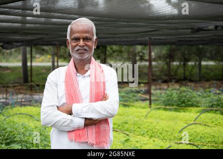 Medio primo piano di sorridente anziano agricoltore Inidan con le braccia incrociate in posizione sicura nella serra o poly house con campionamenti verdi cresciuti Foto Stock