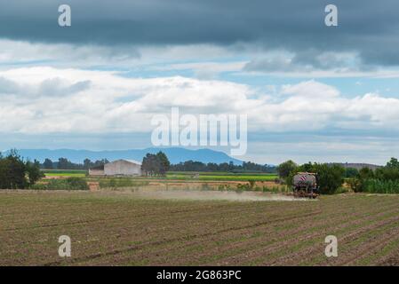 Trattore agricolo in funzione sul campo, con un paesaggio verde, un magazzino industriale agricolo, montagne e il cielo nuvoloso. Foto Stock
