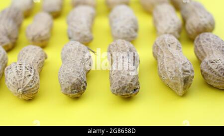 Arachidi Gruppo di Arachis ipogea su sfondo giallo Foto Stock