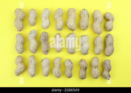 Arachidi Gruppo di Arachis ipogea su sfondo giallo Foto Stock