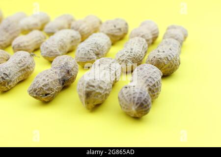 Arachidi Gruppo di Arachis ipogea su sfondo giallo Foto Stock