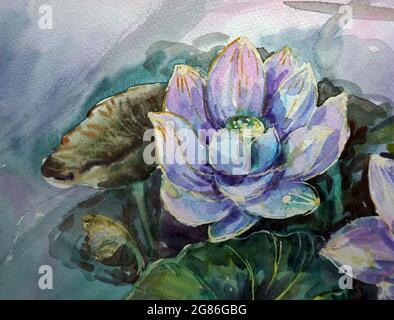 Arte, pittura, disegno a mano, acquerello fiore di loto, acqua Lilly Foto Stock