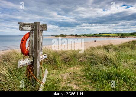 Una boa di salvataggio alla spiaggia di Alnmouth nel Northumberland, in piedi guardia sulle dune, guardando verso il mare. Foto Stock